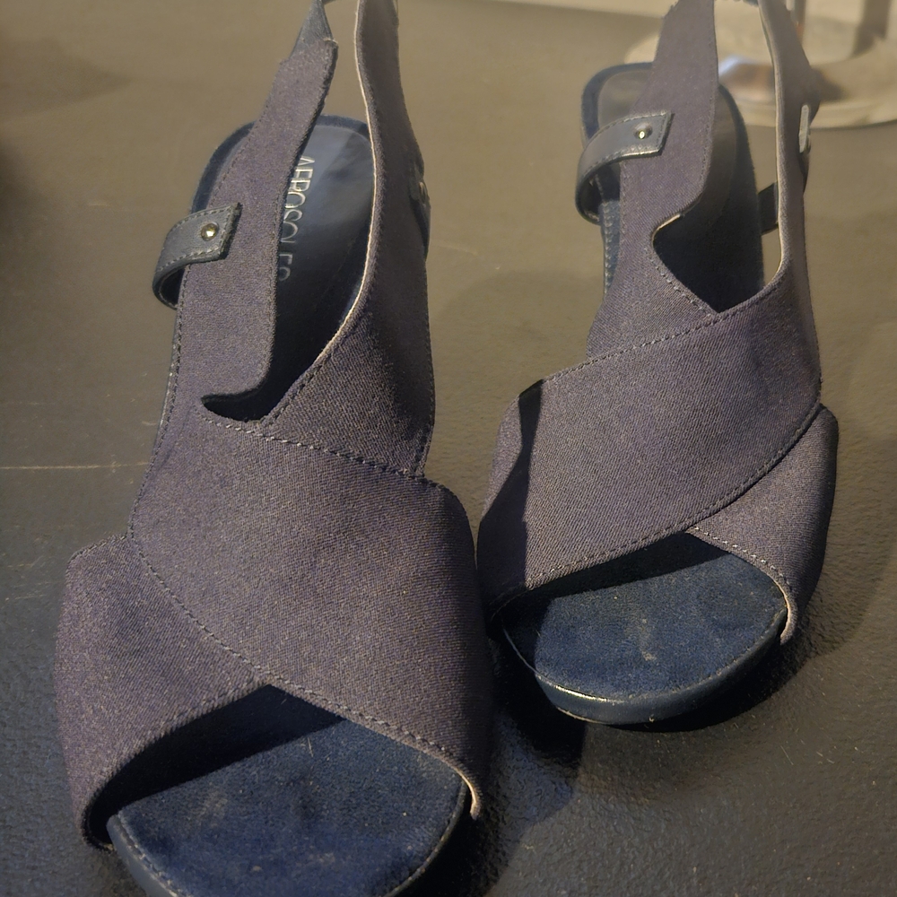 AEROSOLES Navy Blue Heels